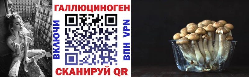 Галлюциногенные грибы ЛСД  нарко площадка телеграм  Почеп 
