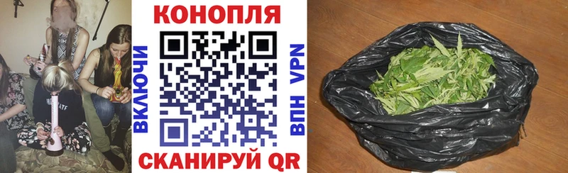 где продают   Почеп  Шишки марихуана OG Kush 